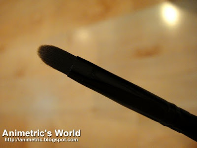 Charm Pro Makeup Brush Set Review