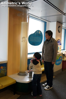 Samsung Children's Museum in Seoul, South Korea