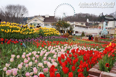 Everland Resort in South Korea