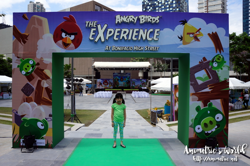 Angry Birds The Experience