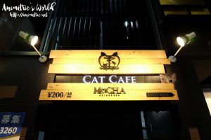 Cat Cafe Mocha Akihabara Japan