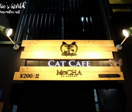 Cat Cafe Mocha Akihabara Japan