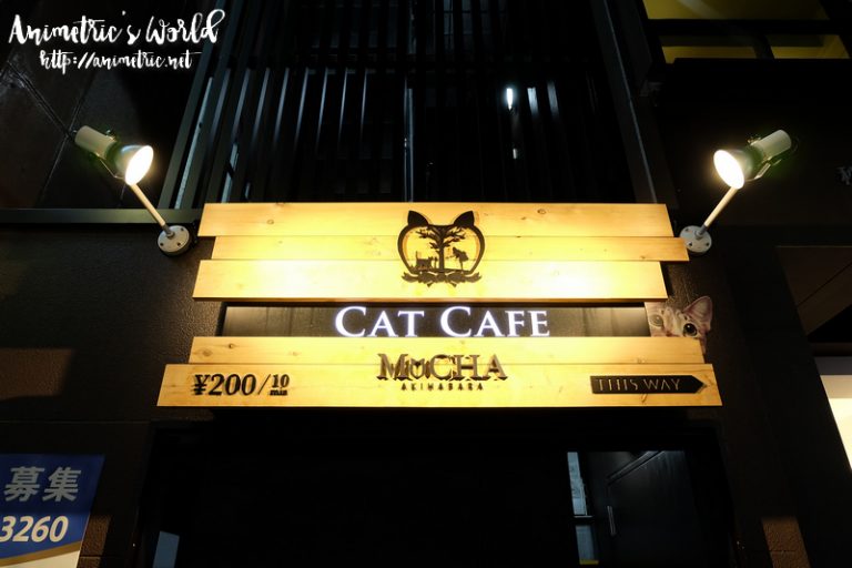 Cat Cafe Mocha in Akihabara, Japan Animetric's World