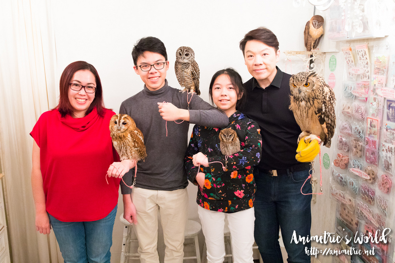 Akiba Fukurou Owl Cafe