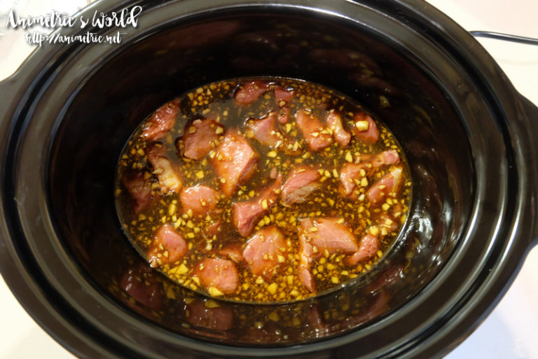 Cooking with the Imarflex Slow Cooker Animetric's World