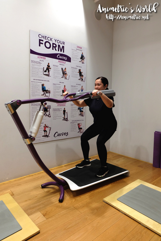 Curves Circuit