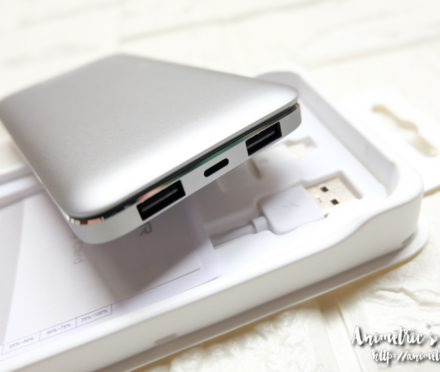 Veger Powerbank