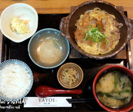 Yayoi Japanese Teishoku Restaurant