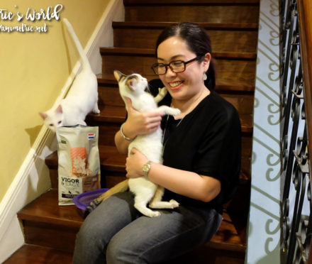 Vigor and Sage Pet Food