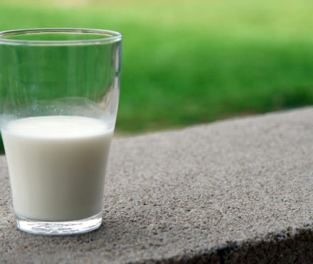 Milk