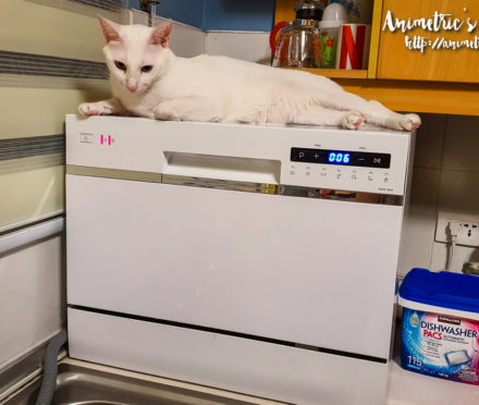 Dishwasher
