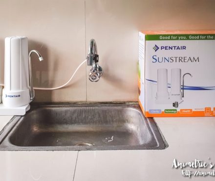 Pentair Sunstream Water Purifier