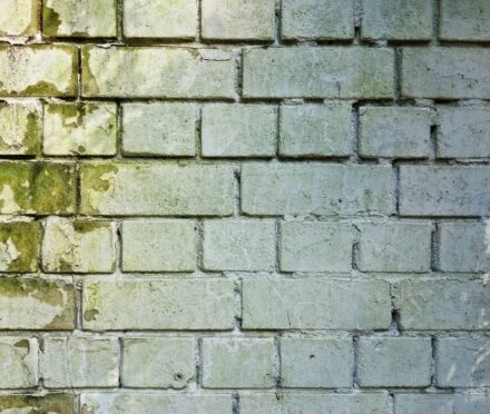 mold